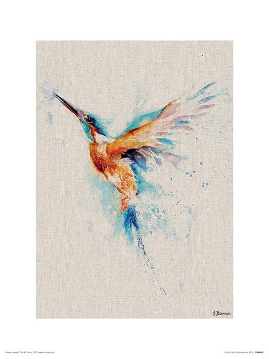Jane Bannon (A Quick Dip) PPR44692: 30 x 40cm, Animals