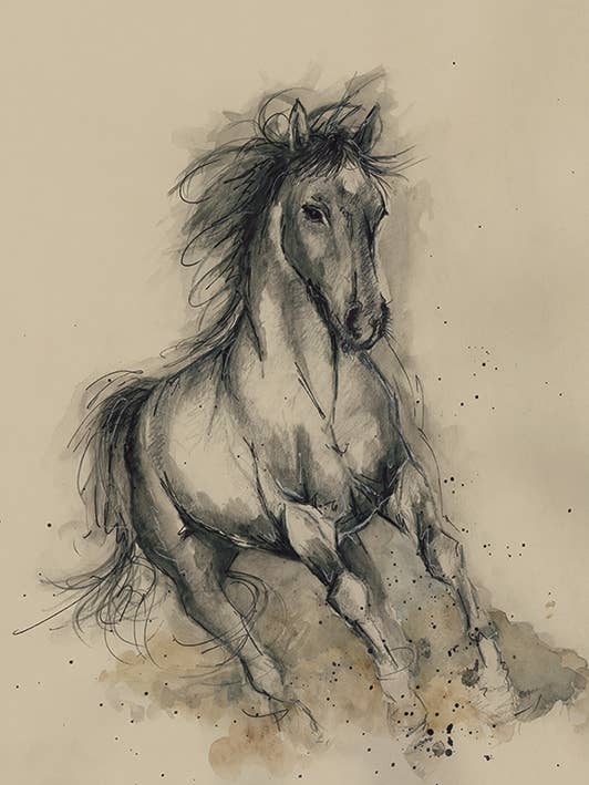Sarah Stokes (Missy in Motion) WDC99308: 60 x 80cm, Canvas Large