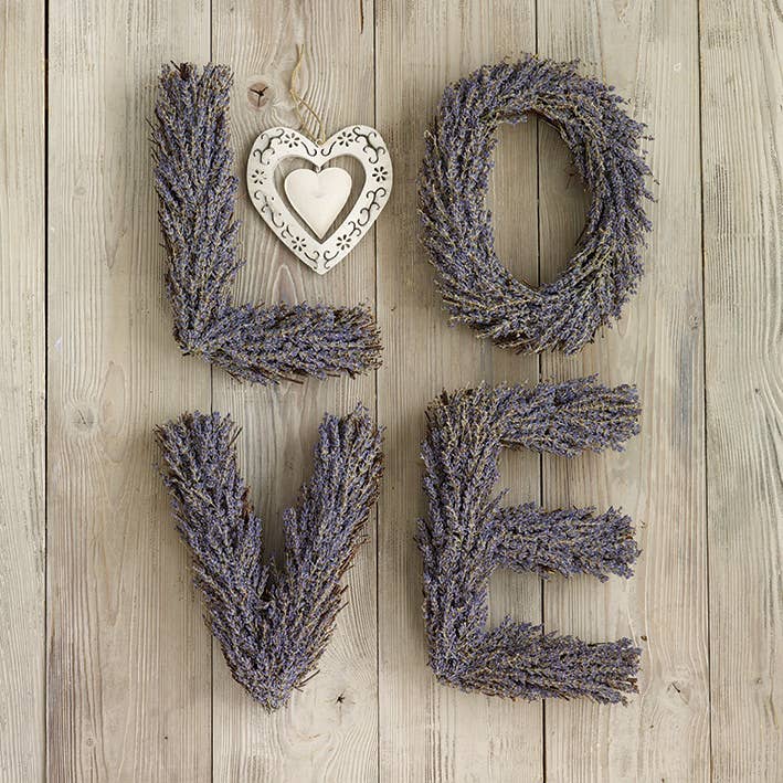 Howard Shooter (Lavender Love) WDC95407: 40 x 40cm, Composition